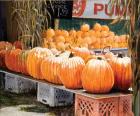 Pumpkins for Sale