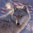 Lone Wolf America