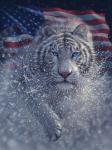 White Tiger America