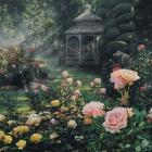 Rose Garden - Paradise Found - Square
