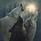 Howling Wolves - In Harmony