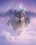 Running Wolves - Northern Lights