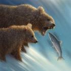 Brown Bears - Fishing Lesson
