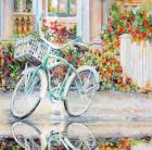 Bike Teal Reflection