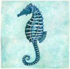 Seahorse