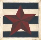 Red Star, Blue Stripes