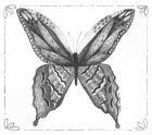 Butterfly VIII