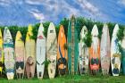 Surfboards