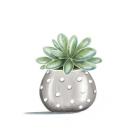 Polka Dot Succulent