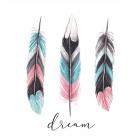 Dream