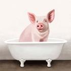 Pig in Bathtub Solo