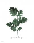 Parsley