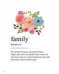 Family Definition