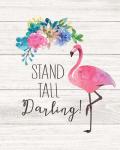 Stand Tall