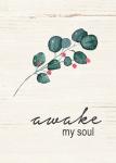 Awake My Soul