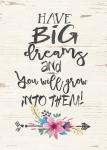 Have Big Dreams