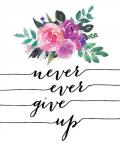 Never Give Up