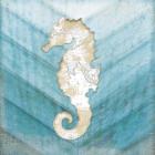 Coastal Seahorse