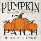 Pumpkin Patch