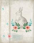 French Spring Rabbit