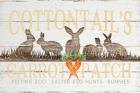 Cottontail's Carrot Patch