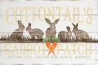 Cottontail's Carrot Patch