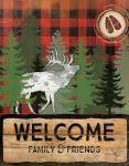 Cabin Welcome Plaid I