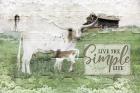 Live the Simple Life