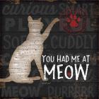 You Had Me at Meow