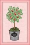 Apple Topiary - Pink