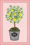 Lemon Topiary - Pink