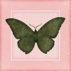 Butterfly II - Pink