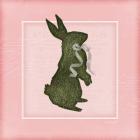 Bunny - Pink