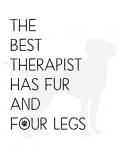 The Best Therapist