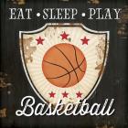 Eat, Sleep, Play, Basketball