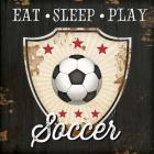 Eat, Sleep, Play, Soccer