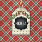 Merry Christmas Plaid