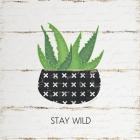 Stay Wild