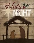 Holy Night Nativity