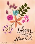 Bloom