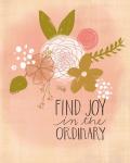 Find Joy