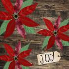 Poinsettia Joy