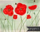 Poppies