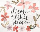 Dream a Little Dream