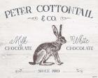 Peter Cottontail