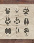 Paw Prints