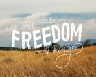 Freedom Prairie