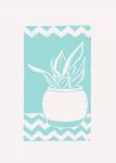 Mint Snake Plant