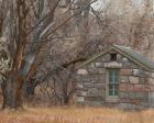 Stone Cabin