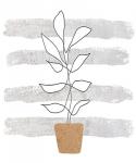 Scandi Plant
